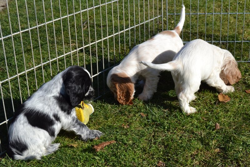 35-Janet, Jessi, Jantar.JPG